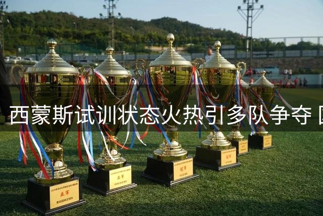 西蒙斯试训状态火热引多队争夺 国王热火等队展开激烈竞争